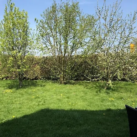 בית נופש In With Barbecue Wiesbaum
