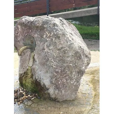 In Wiesbaum With Barbecue