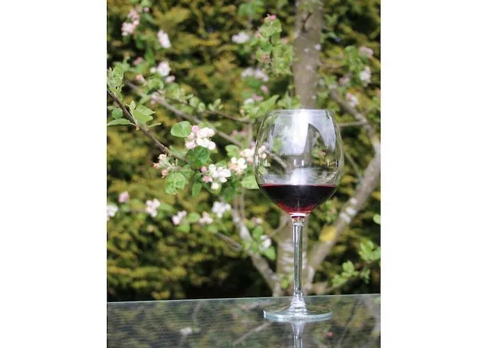 In Wiesbaum With Barbecue * Wiesbaum