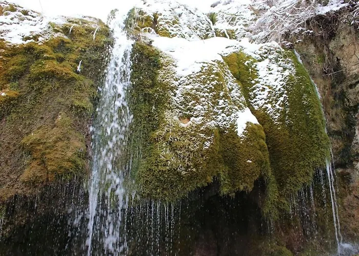 In Wiesbaum With Barbecue Wiesbaum