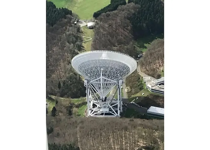 In Wiesbaum With Barbecue